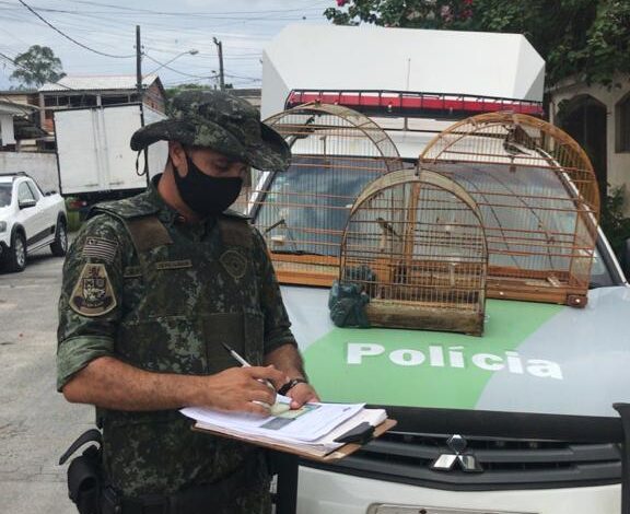 Polícia Ambiental atende irregularidades em Itariri