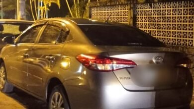 Dupla acusada de roubar casa e adulterar placa de carro é presa