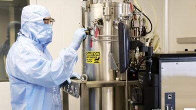 Vacina brasileira contra Covid-19 deve ser testada em junho