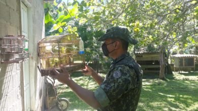 Homem é multado em R$ 11 mil por manter aves em cativeiro