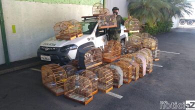 Homem é multado em R$ 100 mil por manter aves em cativeiro