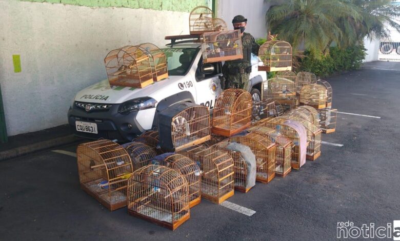 Homem é multado em R$ 100 mil por manter aves em cativeiro