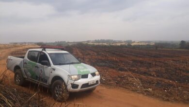 Área queimada rende multa de quase R$ 70 mil