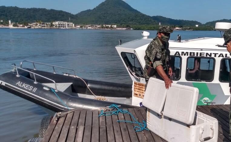 VÍDEO - Pesca de raia rende multa acima de R$ 2,2 mil em São Vicente