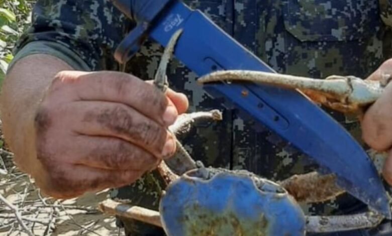 Pescadores levam multa de quase R$ 3 mil por captura de caranguejos