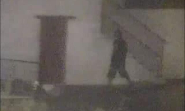 Escola de surf de Santos sofre tentativa de furto e homem é preso