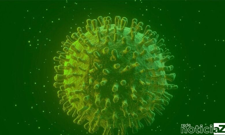 Estudo publicado na revista Nature revelou, pela primeira vez, que pessoas que contraíram a covid de forma ligeira ou moderada desenvolvem uma