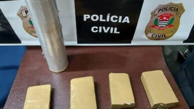 Polícia encontra tijolos de maconha escondidos em Mongaguá