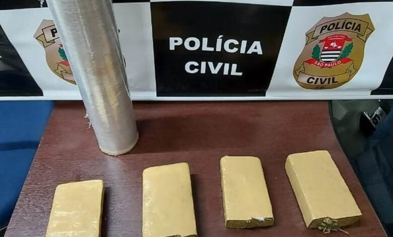 Polícia encontra tijolos de maconha escondidos em Mongaguá