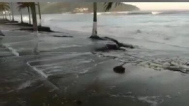 Ondas podem passar de quatro metros em Caraguatatuba