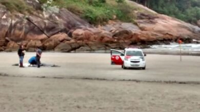 Corpo de adolescente desaparecido no Guarujá é encontrado
