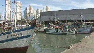 Câmara de Santos cobra transparência no processo de privatização de Terminal Pesqueiro