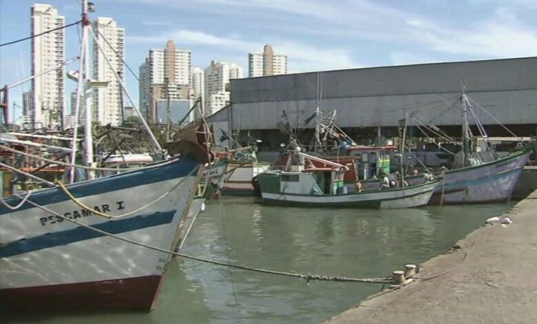 Câmara de Santos cobra transparência no processo de privatização de Terminal Pesqueiro