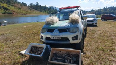 Pesca irregular é encerrada e pescadores são multados em R$ 4 mil