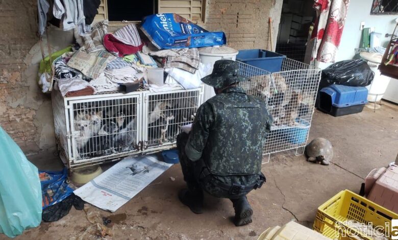 Polícia Ambiental multa em quase R$ 150 mil por maus tratos