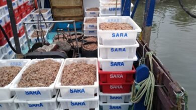 Pesca irregular em Bertioga rende multa acima de R$ 200 mil