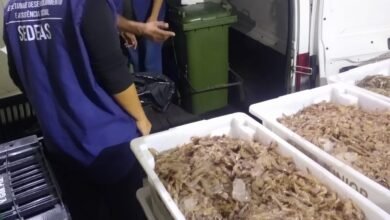 Ambiental: 5 ton de camarão são apreendidas e multa superior a R$ 400 mil é aplicada