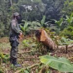 Área degradada gera multa superior a R$ 150 mil em Itariri