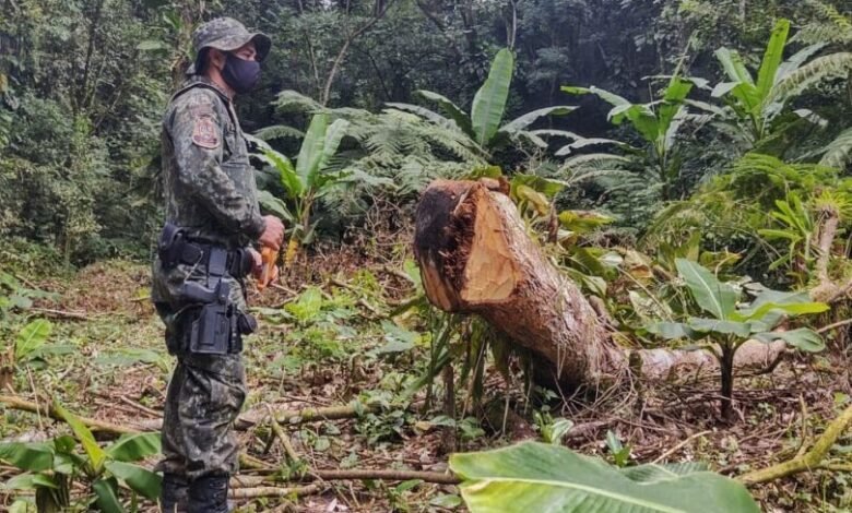 Área degradada gera multa superior a R$ 150 mil em Itariri