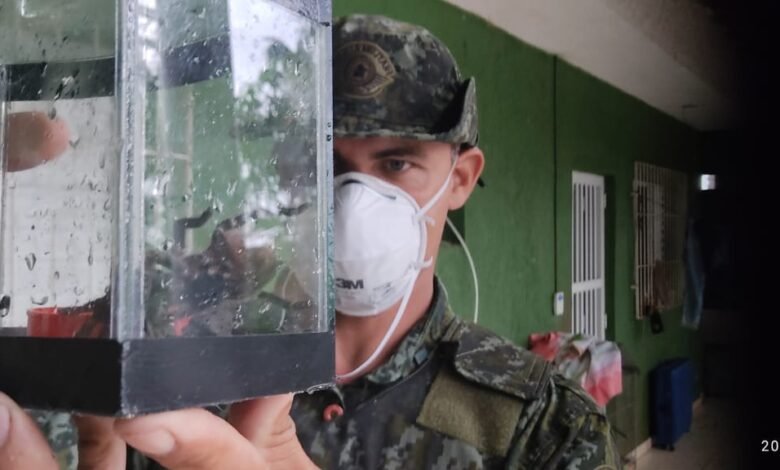 Polícia Ambiental apreende animais silvestres em cativeiro
