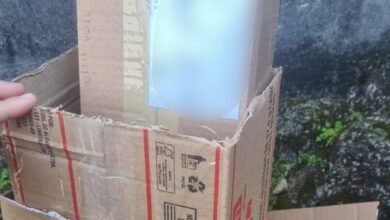 Jovem falsifica receitas para vender anabolizantes e vai preso