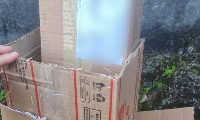 Jovem falsifica receitas para vender anabolizantes e vai preso