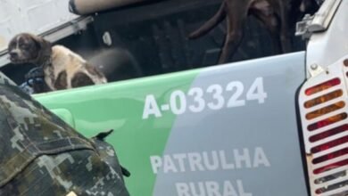 Homem é multado em R$ 6 mil por maus tratos a animais em Ubatuba