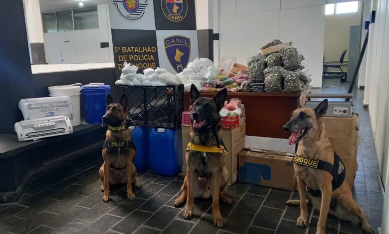 90kg de drogas são encontrados por cães farejadores em Guarujá
