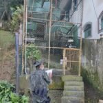 Mulher é multada em R$ 21 mil por manter aves em cativeiro