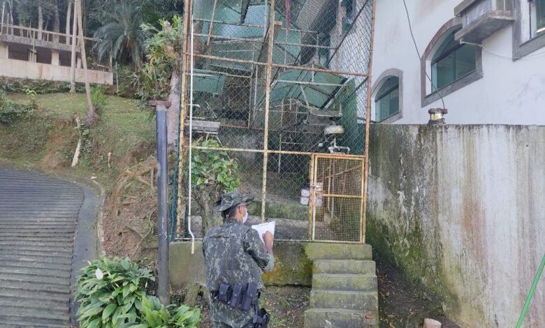 Mulher é multada em R$ 21 mil por manter aves em cativeiro