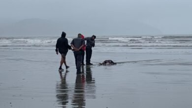 Corpo de homem é encontrado em praia de Santos
