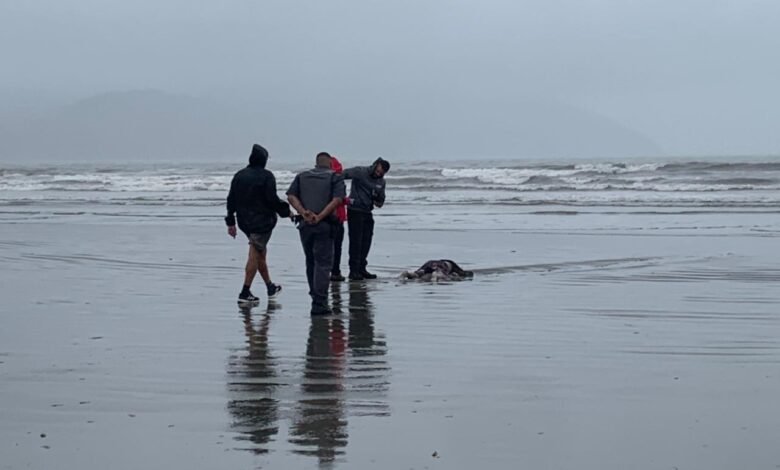 Corpo de homem é encontrado em praia de Santos