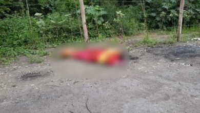 Corpo de homem encoberto é achado em rodovia de Guarujá