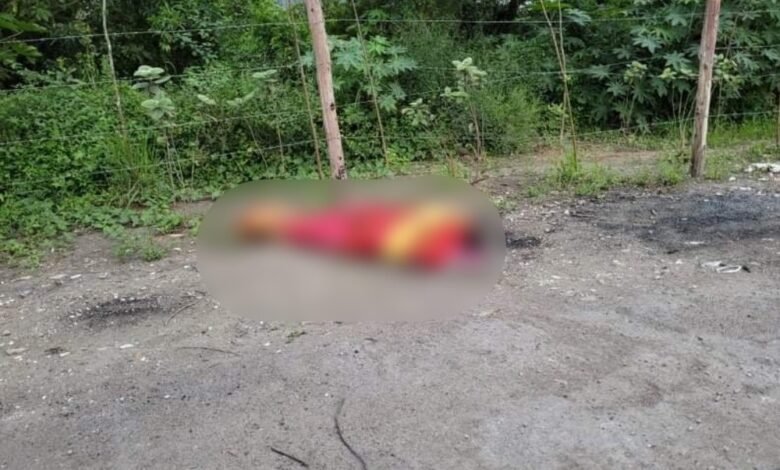 Corpo de homem encoberto é achado em rodovia de Guarujá