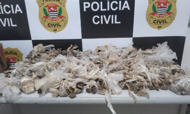 Polícia apreende drogas prontas para a venda em São Vicente