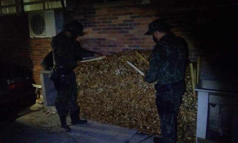 Polícia Ambiental multa em R$ 1,4 milhão por cortes de 2,4 mil palmitos juçara