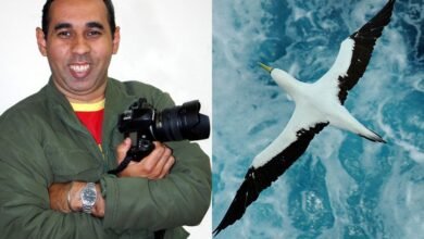 Imagens do fotógrafo Anderson Bianchi são expostas em Santos