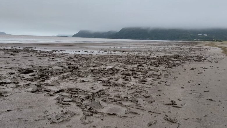 Praia de Peruíbe é tomada por 'mar de lama'