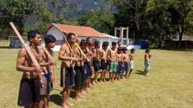 Obra dentro de território indígena de Ubatuba provoca questionamentos