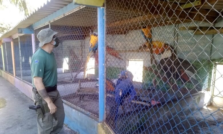 Hotel fazenda dentro de terra indígena no litoral é embargado