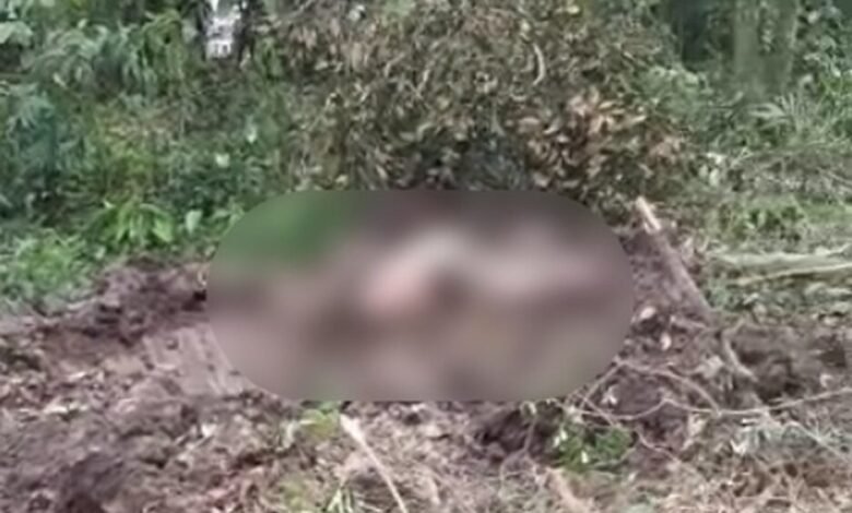 Corpo de homem é encontrado durante escavação em Praia Grande