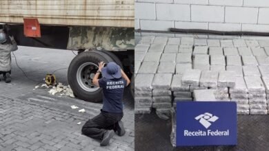 Cinco cargas com cocaína são achadas no Porto de Santos
