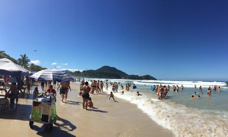 Tubarão ataca idosa de 79 anos em praia de Ubatuba