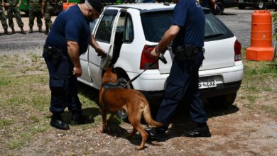 Forças de segurança participam do Training Day