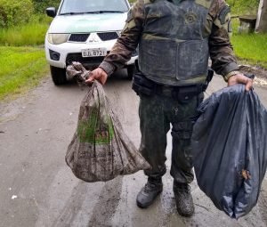 Polícia Marítima flagra comércio irregular de Caranguejos e Siris