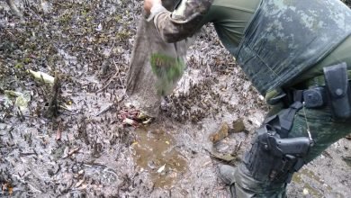 Polícia Marítima flagra comércio irregular de Caranguejos e Siris