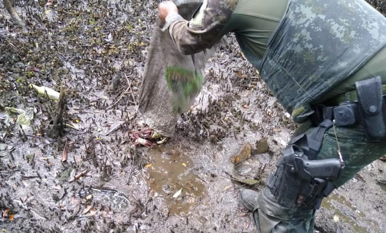 Polícia Marítima flagra comércio irregular de Caranguejos e Siris