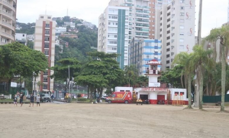 Cães estão livres para circular em um trecho da praia de Santos