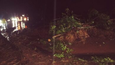 Rio-Santos sofre com queda de barreira e pista é interditada por duas horas