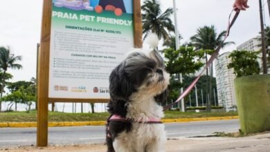 São Vicente é mais uma cidade a contar com um espaço pet
